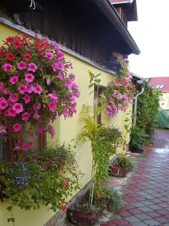 Penzion Many Peny Jindrichuv Hradec Luaran gambar